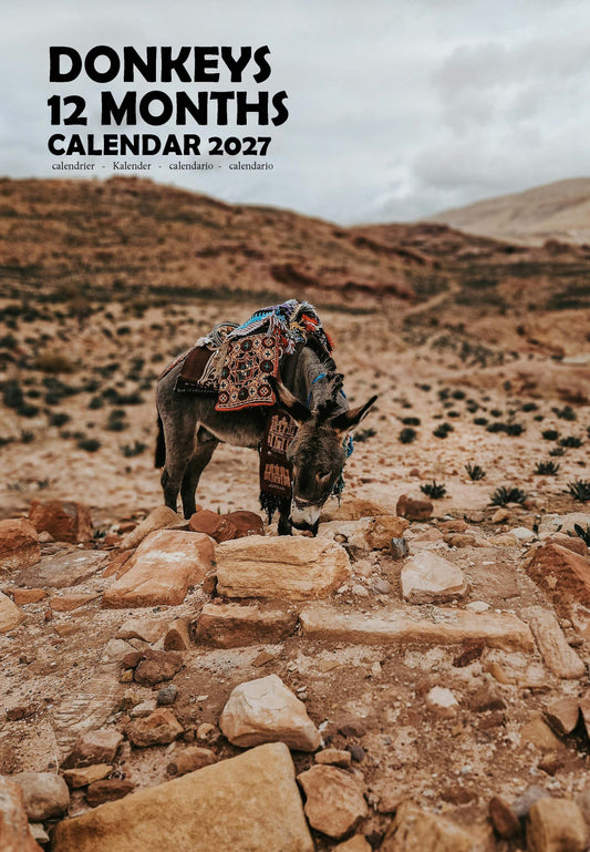 Donkeys Calendar 2027 – M-PRA Range
