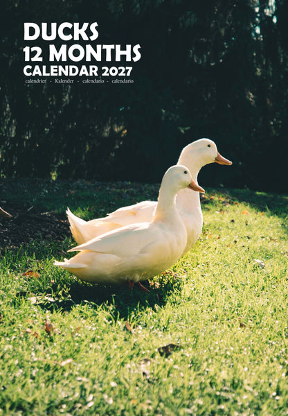 Ducks Calendar 2027 – M-PRA Range