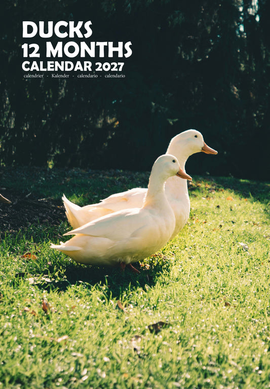 Ducks Calendar 2027 – M-PRA Range