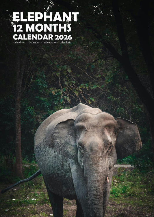 Elephant Calendar 2026 – M-PRA Range