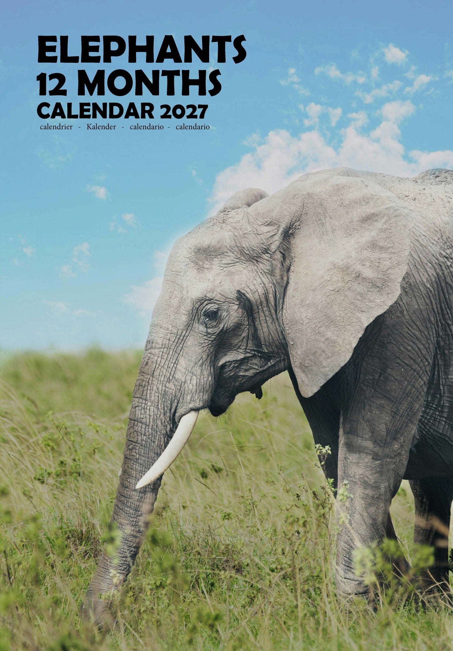 Elephants Calendar 2027 – M-PRA Range