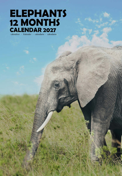 Elephants Calendar 2027 – M-PRA Range