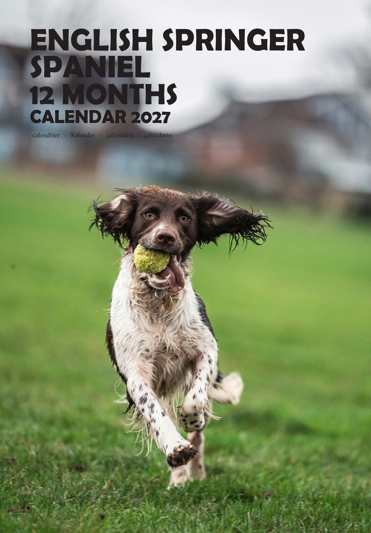 English Springer Spaniel Dog Calendar 2027 – M-PRA Range