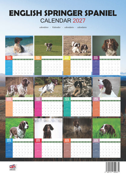 English Springer Spaniel Dog Calendar 2027 – M-PRA Range