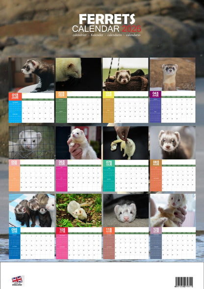 Ferrets Calendar 2026 – M-PRA Range