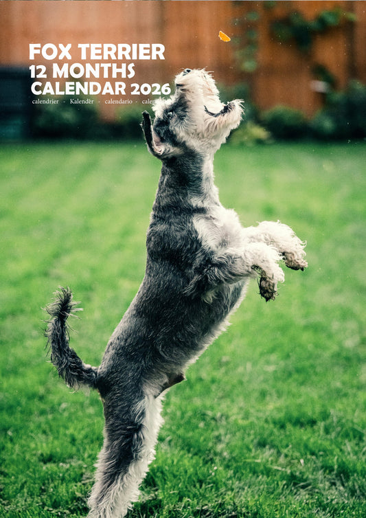 Fox Terrier Dog Calendar 2026 – M-PRA Range