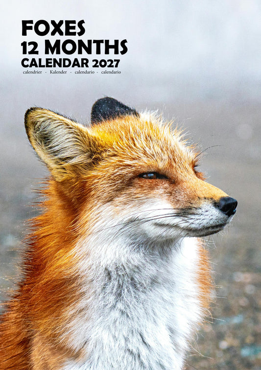 Foxes Calendar 2027 – M-PRA Range