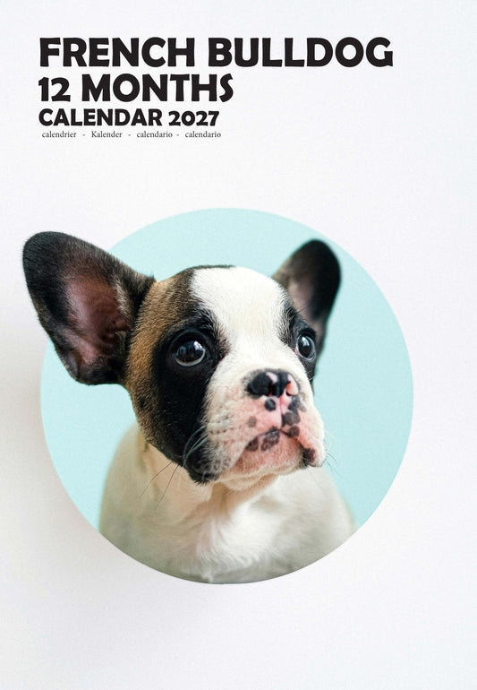 French Bulldog Calendar 2027 – M-PRA Range