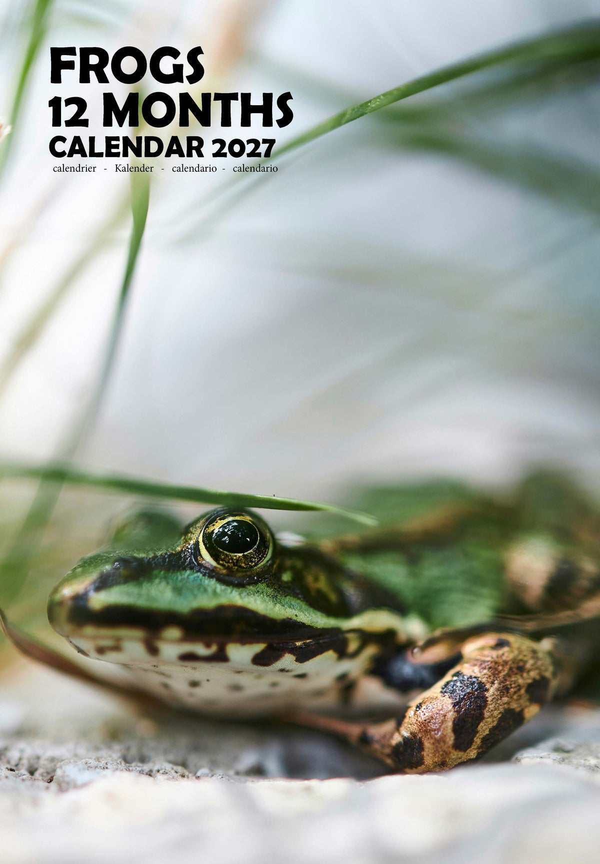 Frogs Calendar 2027 – M-PRA Range