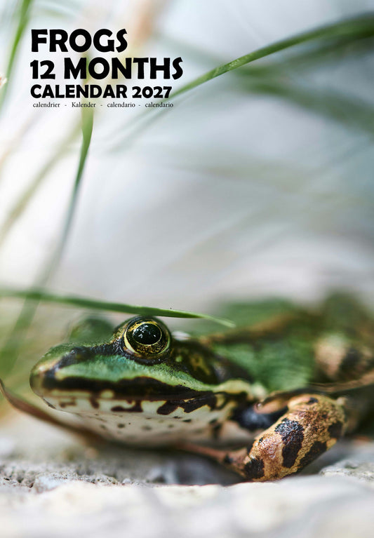 Frogs Calendar 2027 – M-PRA Range