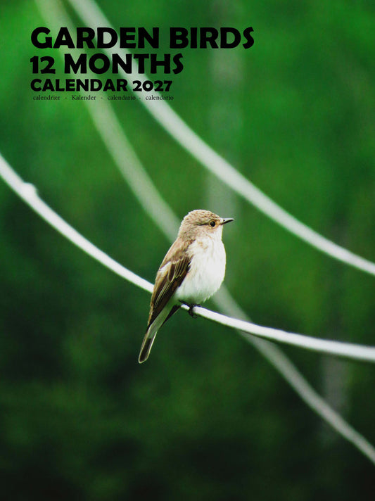 Garden Birds Calendar 2027 – M-PRA Range