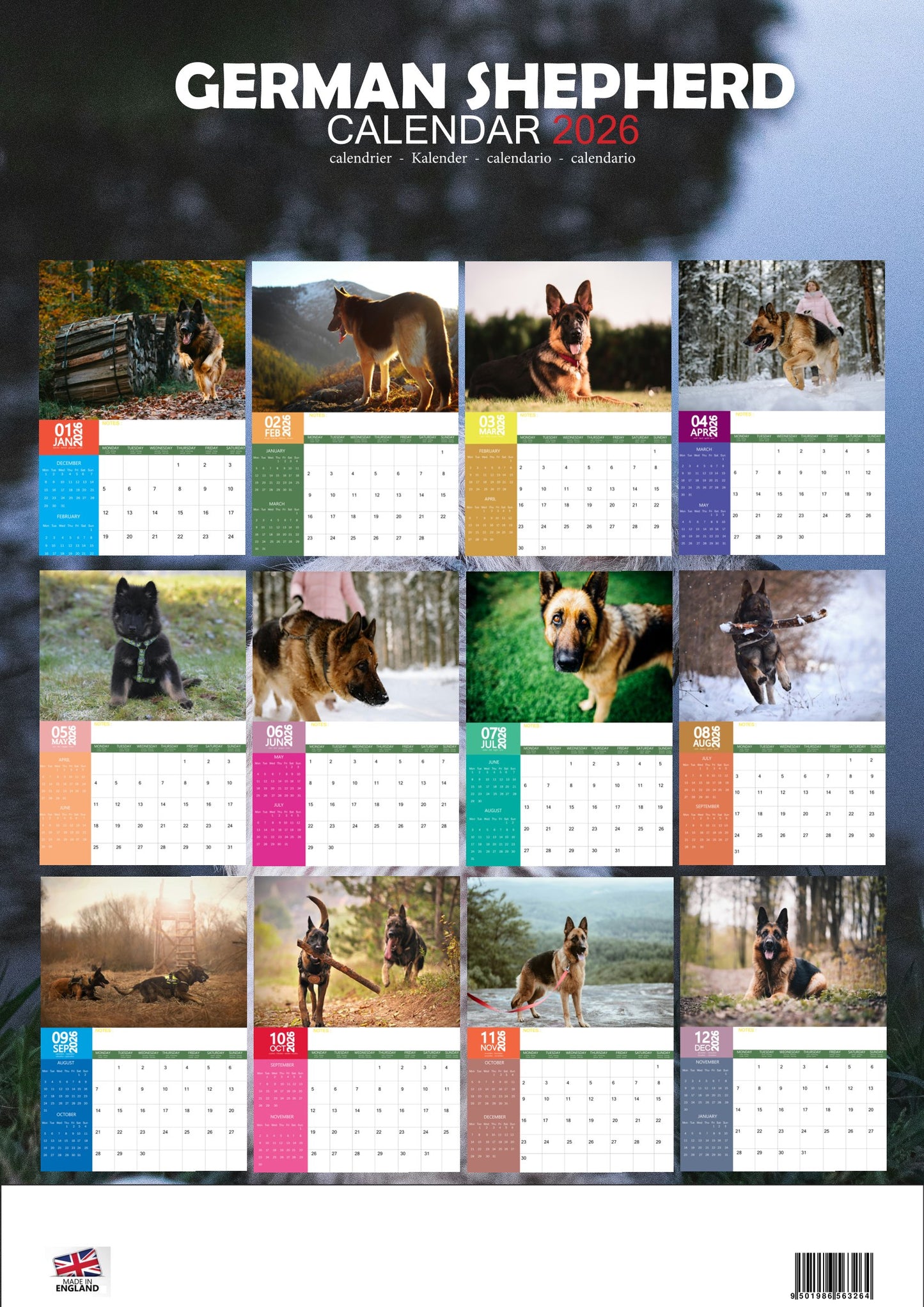 German Shepherd Dog Calendar 2026 – M-PRA Range