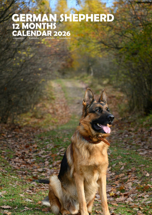 German Shepherd Dog Calendar 2026 – M-PRA Range
