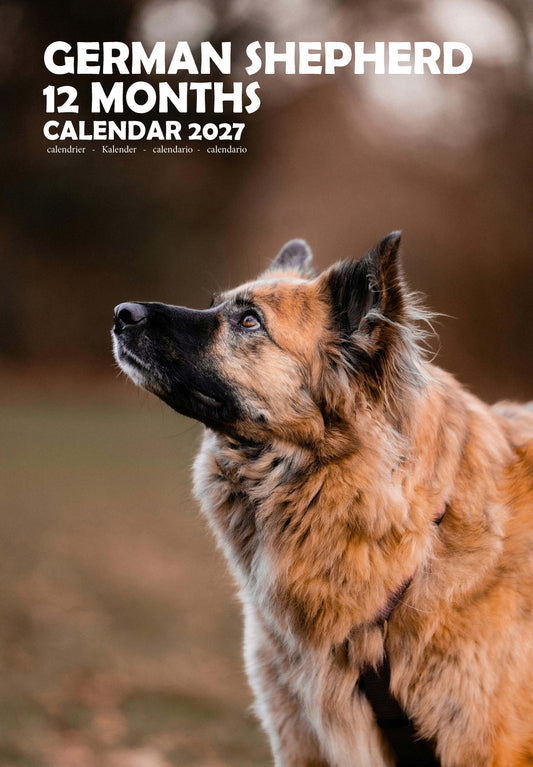 German Shepherd Dog Calendar 2027 – M-PRA Range