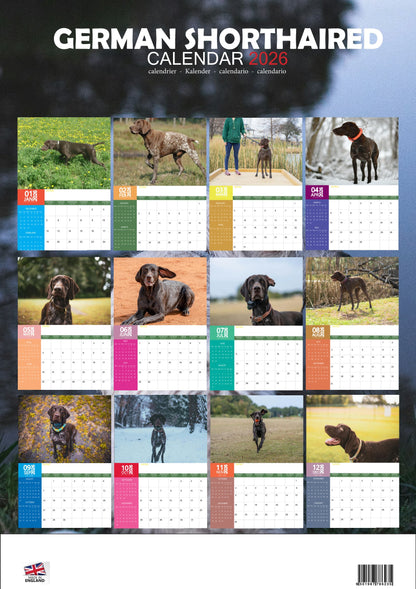 German Shorthaired Dog Calendar 2026 – M-PRA Range