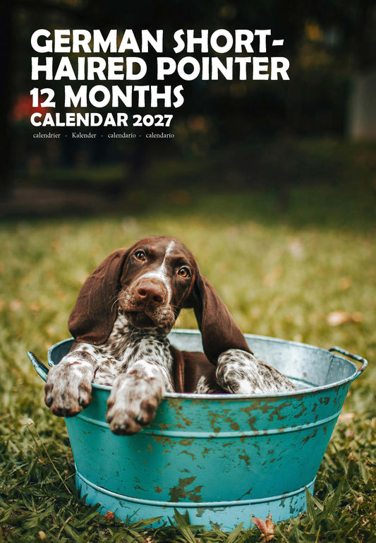 German Shorthaired Pointer Dog Calendar 2027 – M-PRA Range