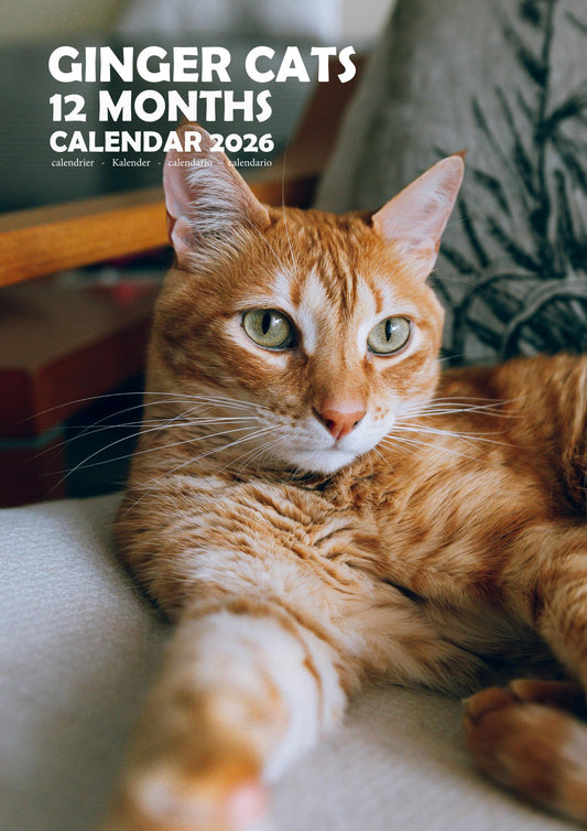 Ginger Cats Calendar 2026 – M-PRA Range