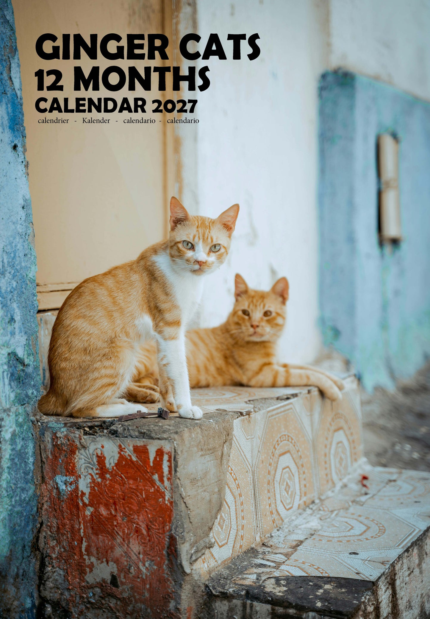 Ginger Cats Calendar 2027 – M-PRA Range