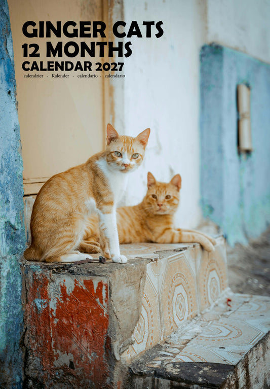 Ginger Cats Calendar 2027 – M-PRA Range