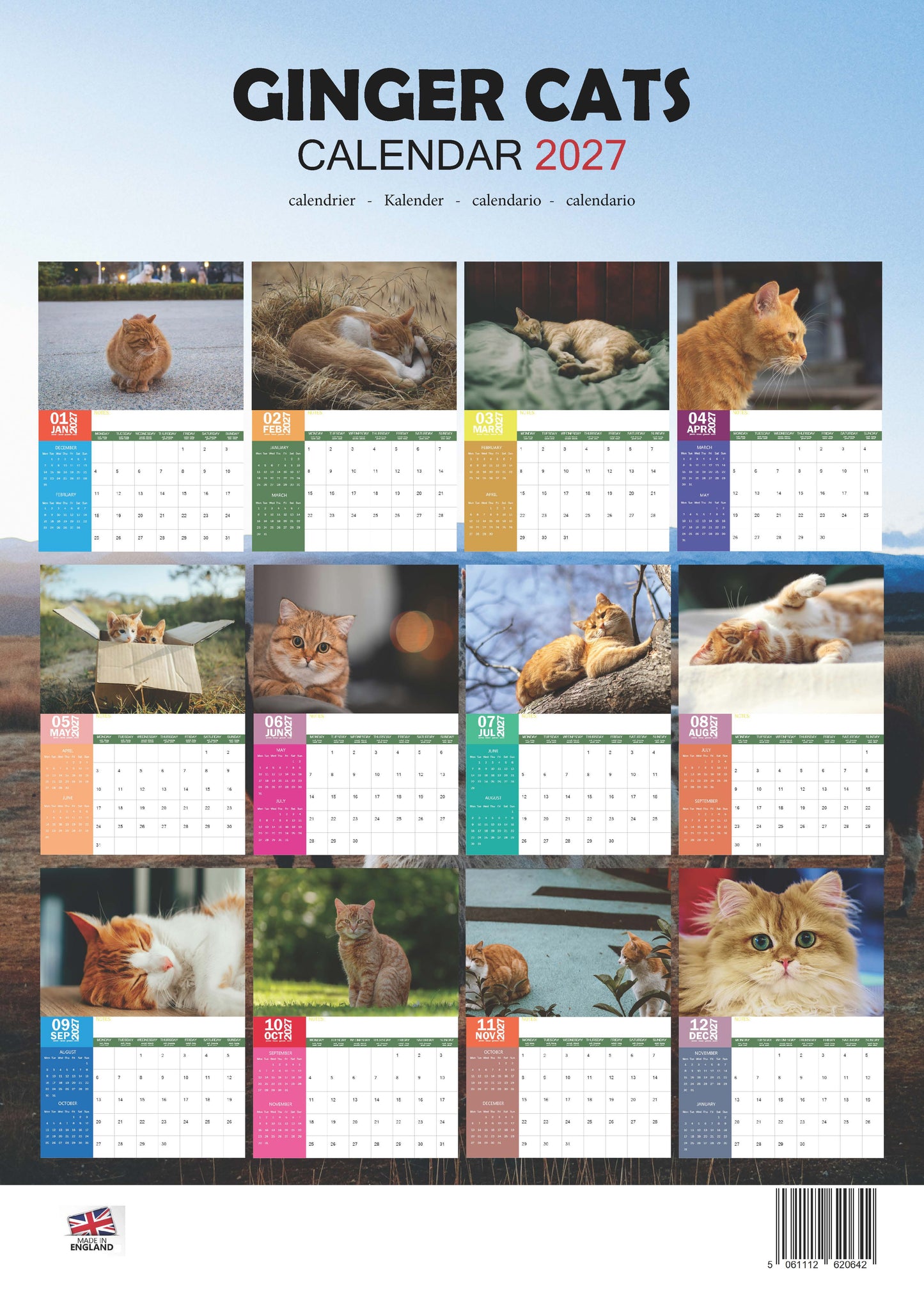 Ginger Cats Calendar 2027 – M-PRA Range