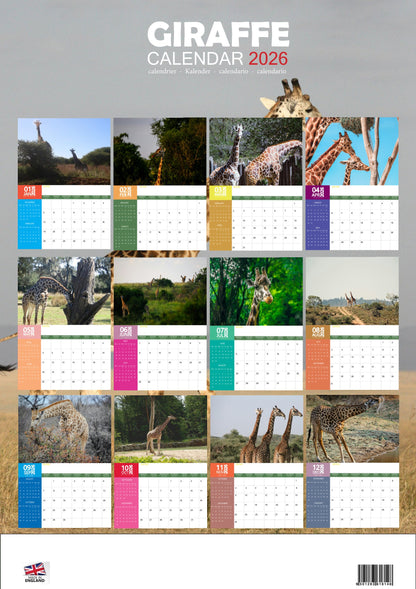 Giraffe Calendar 2026 – M-PRA Range