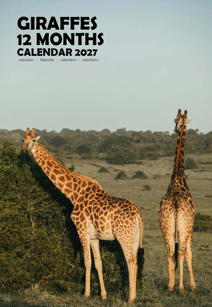 Giraffes Calendar 2027 – M-PRA Range