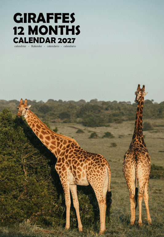Giraffes Calendar 2027 – M-PRA Range