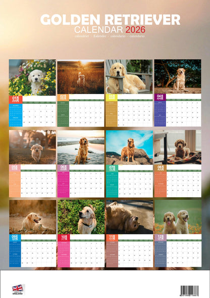 Golden Retriever Dog Calendar 2026 – M-PRA Range