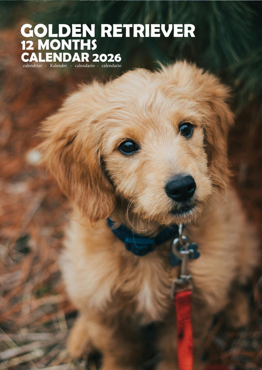Golden Retriever Dog Calendar 2026 – M-PRA Range
