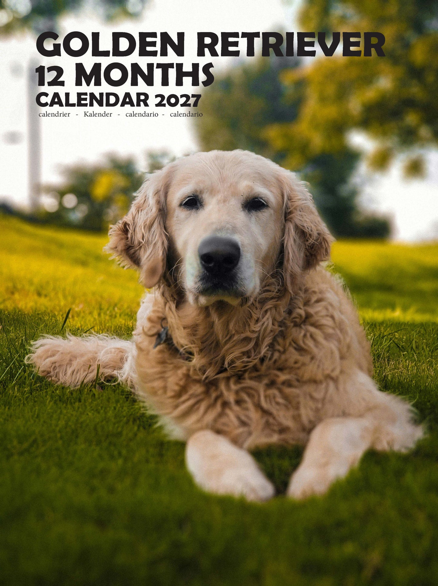 Golden Retriever Dog Calendar 2027 – M-PRA Range
