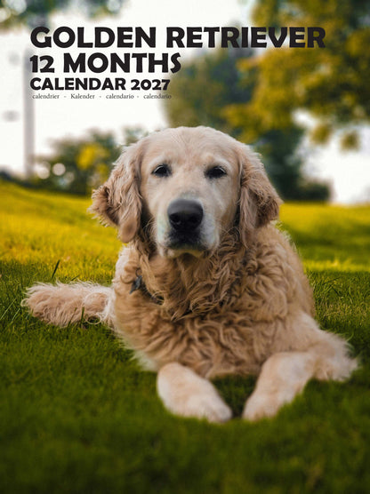 Golden Retriever Dog Calendar 2027 – M-PRA Range