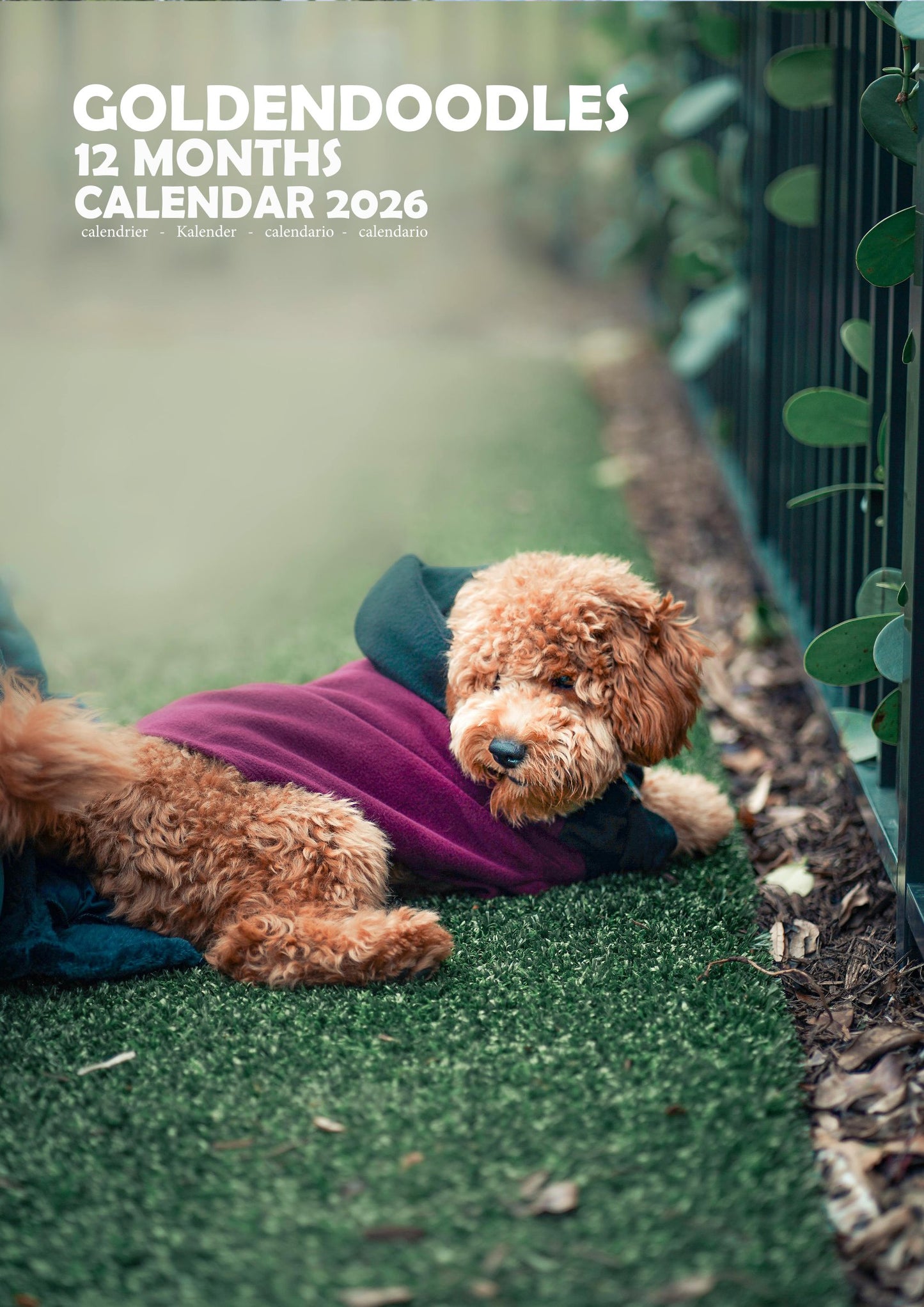 Goldendoodles Dog Calendar 2026 – M-PRA Range