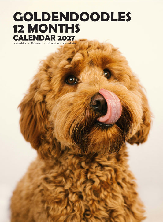 Goldendoodles Dog Calendar 2027 – M-PRA Range