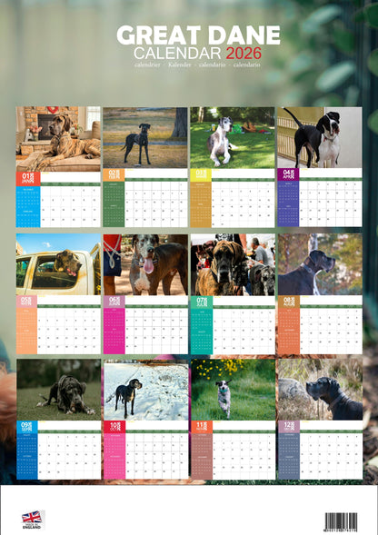 Great Dane Dog Calendar 2026 – M-PRA Range