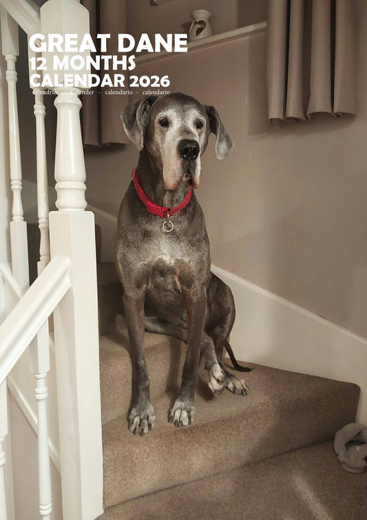 Great Dane Dog Calendar 2026 – M-PRA Range