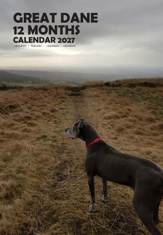 Great Dane Dog Calendar 2027 – M-PRA Range