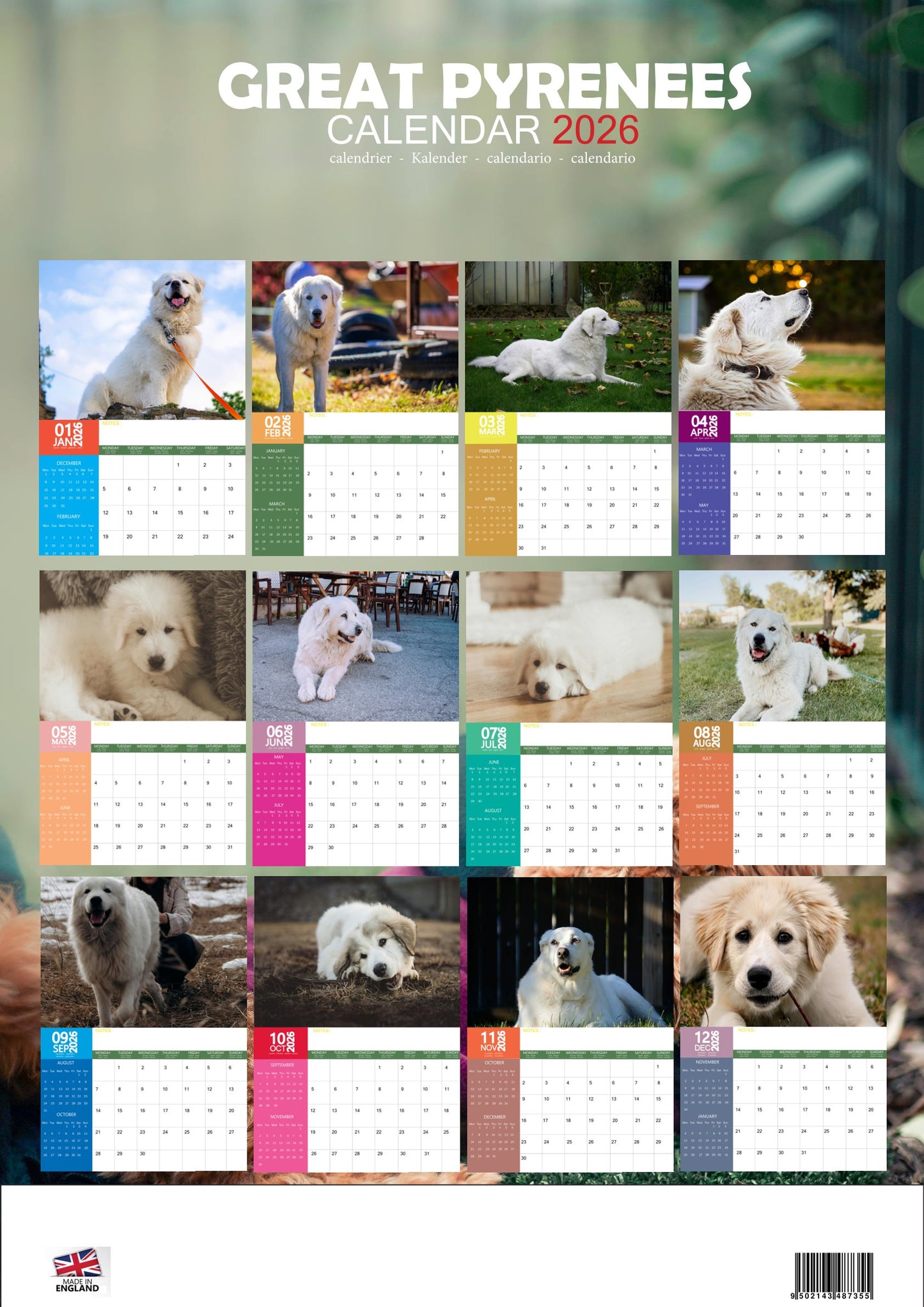 Great Pyrenees Dog Calendar 2026 – M-PRA Range