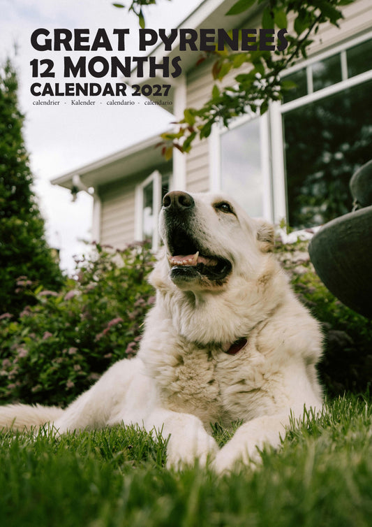 Great Pyrenees Dog Calendar 2027 – M-PRA Range