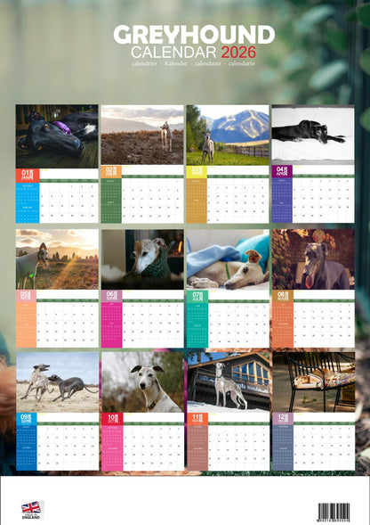 Greyhound Dog Calendar 2026 – M-PRA Range