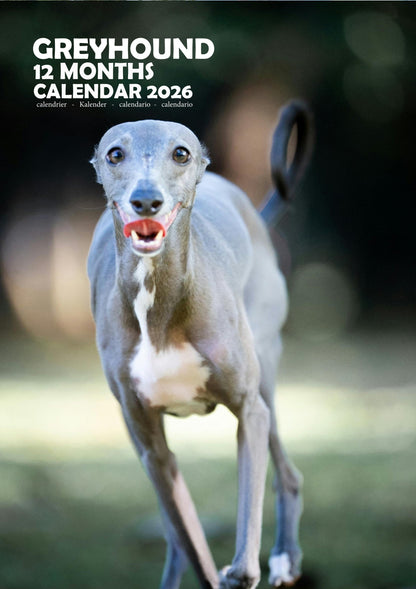 Greyhound Dog Calendar 2026 – M-PRA Range
