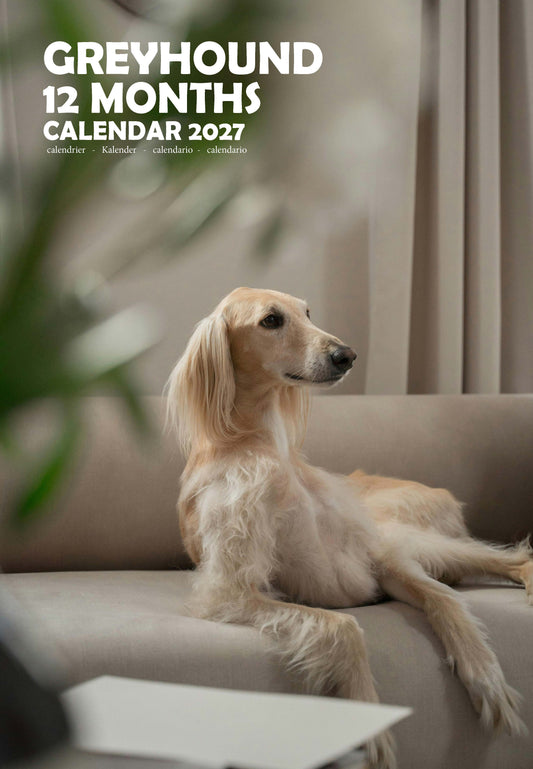 Greyhound Dog Calendar 2027 – M-PRA Range