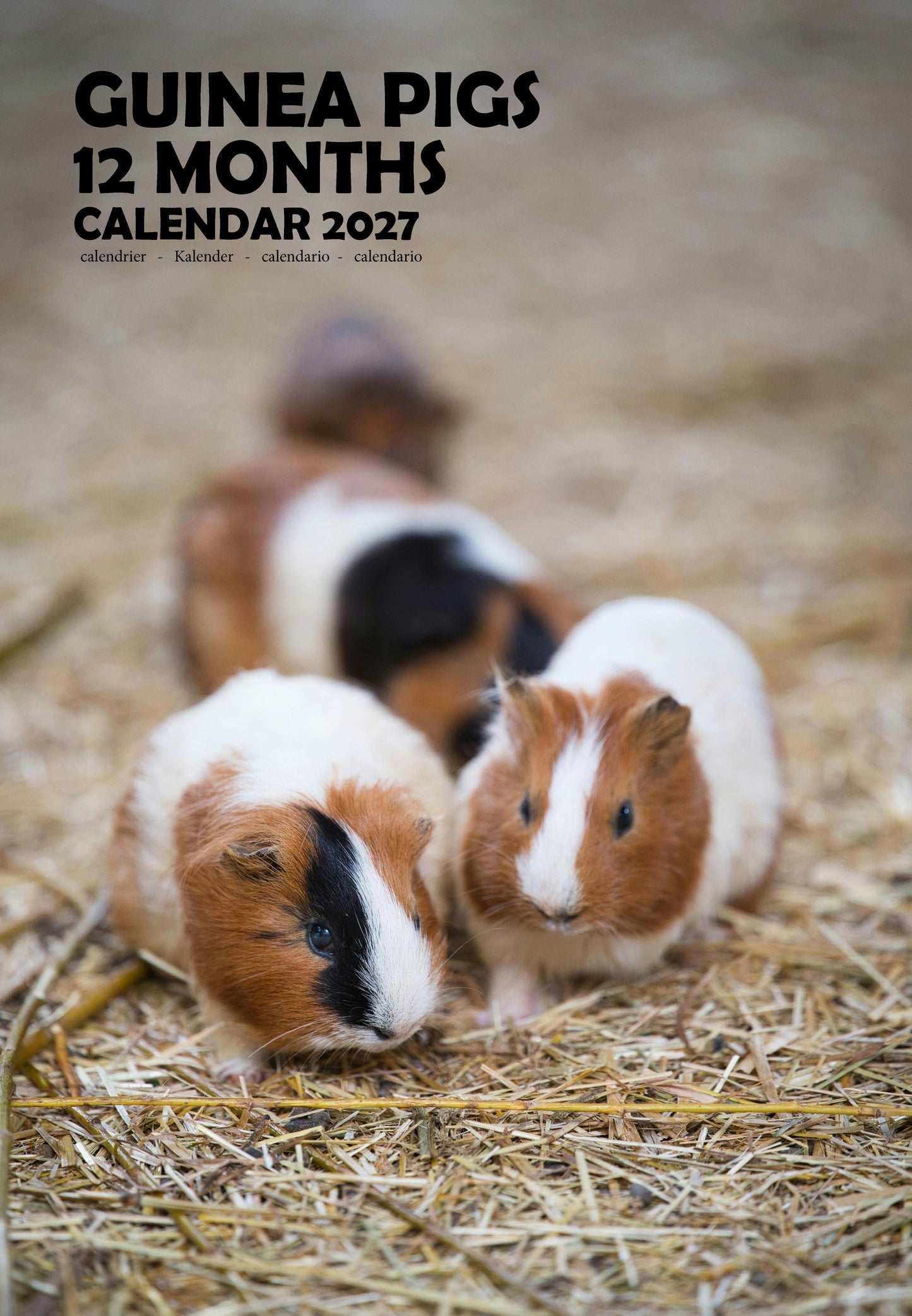 Guinea Pigs Calendar 2027 – M-PRA Range