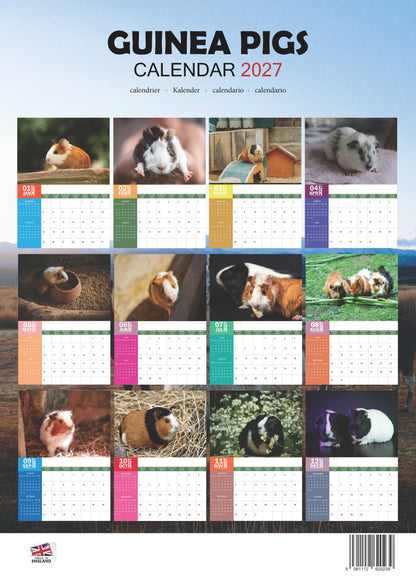 Guinea Pigs Calendar 2027 – M-PRA Range