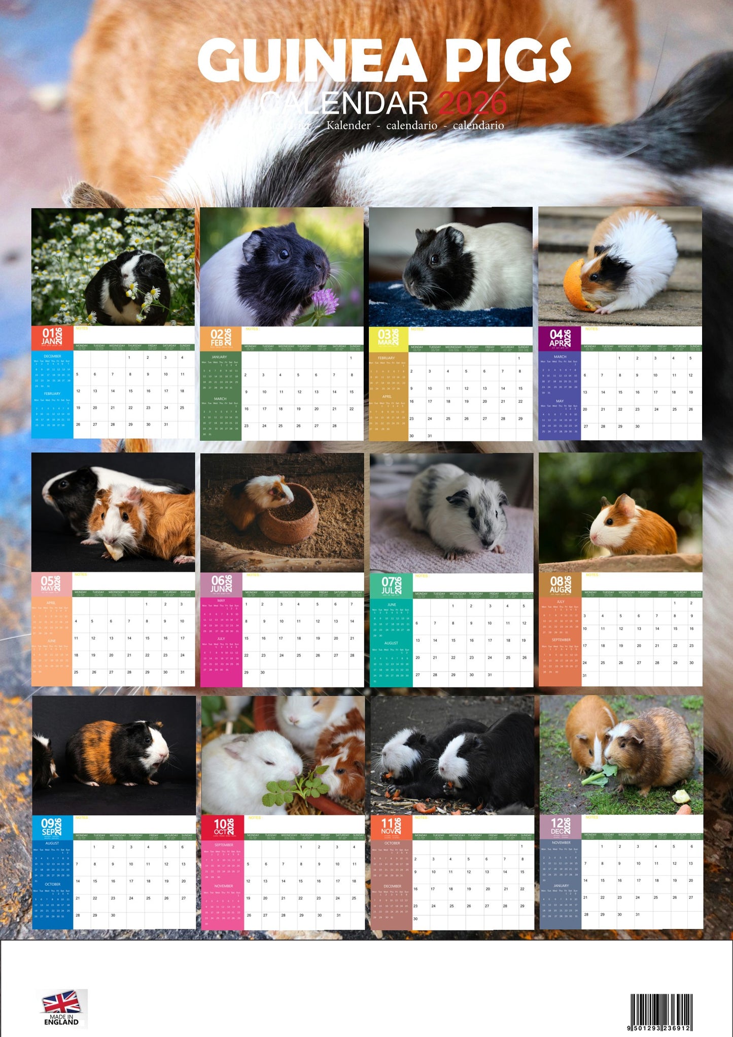 Guinea Pig Calendar 2026 – M-PRA Range