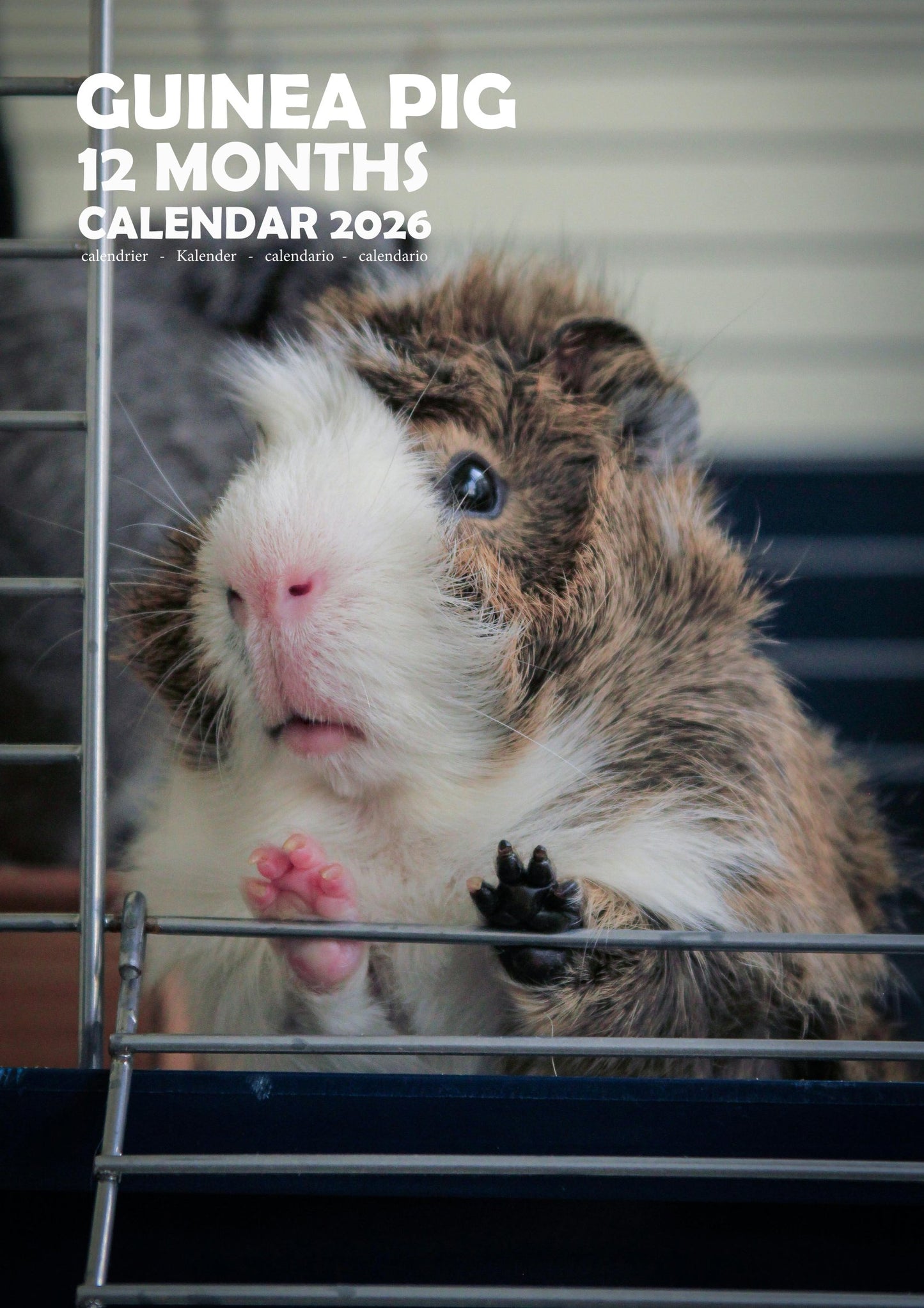 Guinea Pig Calendar 2026 – M-PRA Range