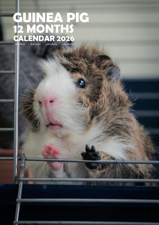 Guinea Pig Calendar 2026 – M-PRA Range