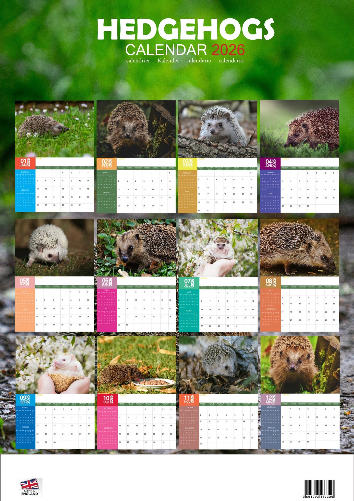 Hedgehog Calendar 2026 – M-PRA Range