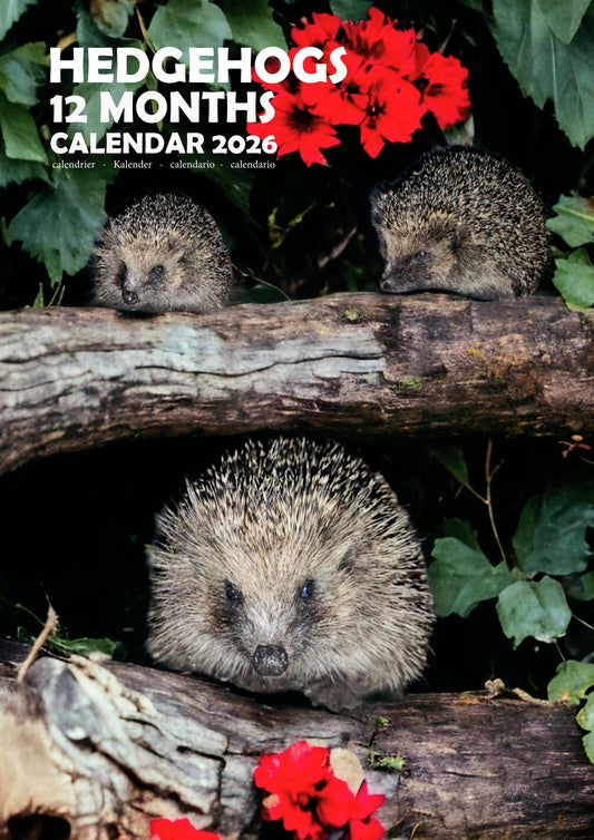 Hedgehog Calendar 2026 – M-PRA Range