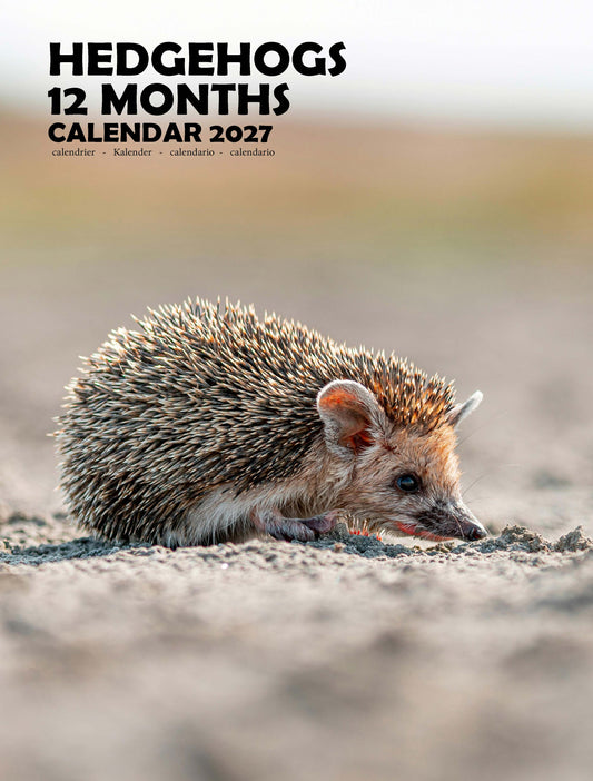 Hedgehogs Calendar 2027 – M-PRA Range