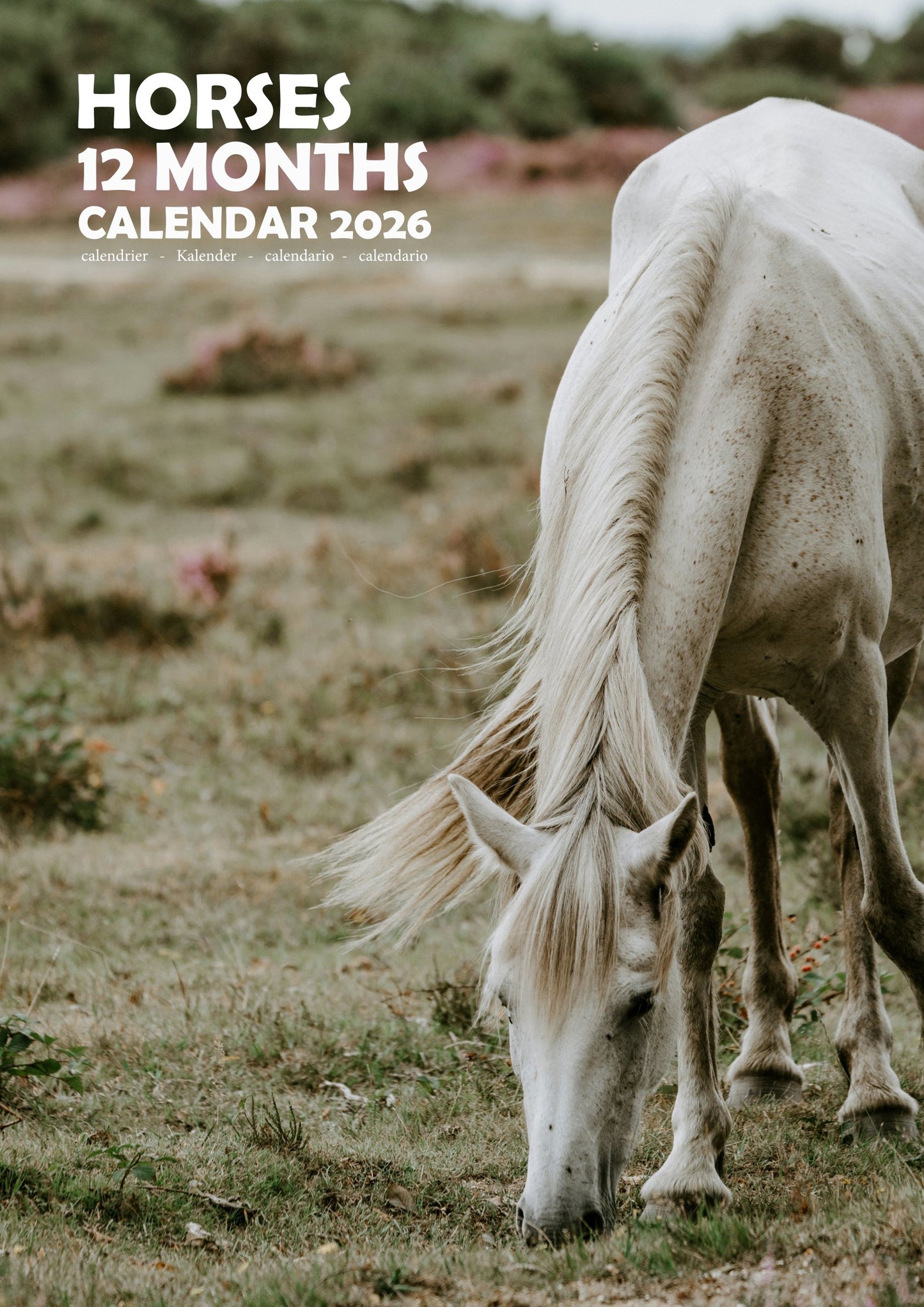 Horse Calendar 2026 – M-PRA Range